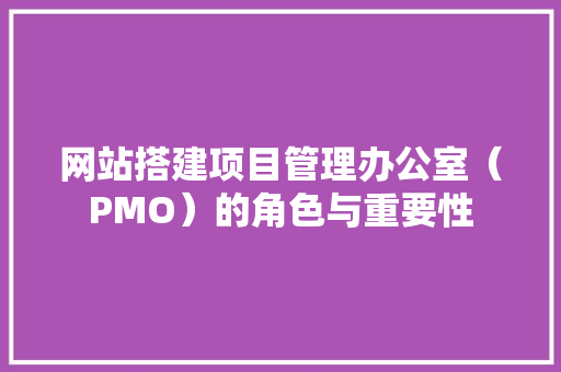 网站搭建项目管理办公室（PMO）的角色与重要性