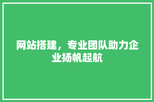网站搭建，专业团队助力企业扬帆起航