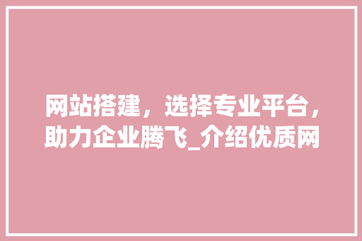 网站搭建，选择专业平台，助力企业腾飞_介绍优质网站搭建服务商