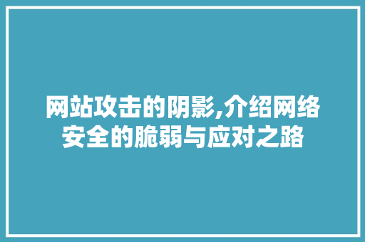网站攻击的阴影,介绍网络安全的脆弱与应对之路