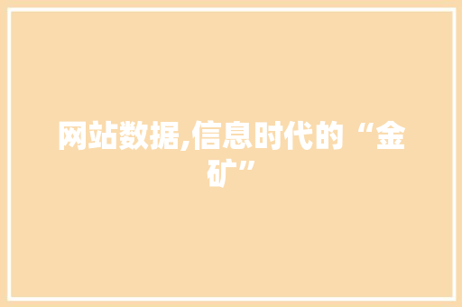 网站数据,信息时代的“金矿” 网站数据,信息时代的“金矿” 百度SEO