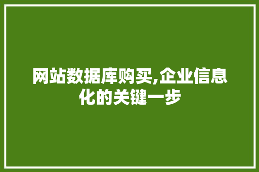 网站数据库购买,企业信息化的关键一步