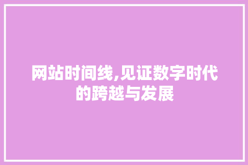 网站时间线,见证数字时代的跨越与发展