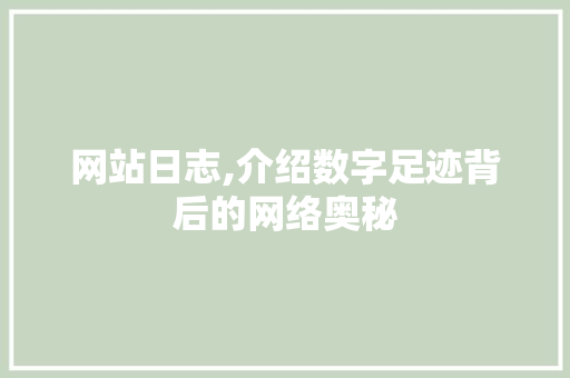 网站日志,介绍数字足迹背后的网络奥秘