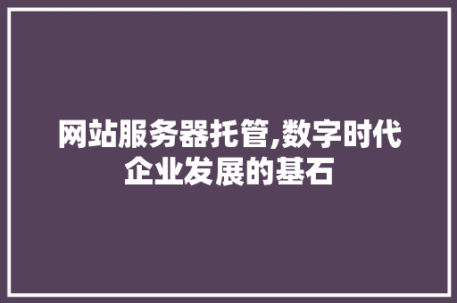 网站服务器托管,数字时代企业发展的基石