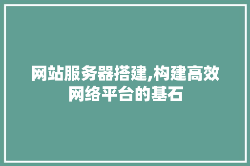 网站服务器搭建,构建高效网络平台的基石