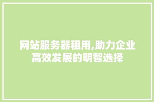 网站服务器租用,助力企业高效发展的明智选择