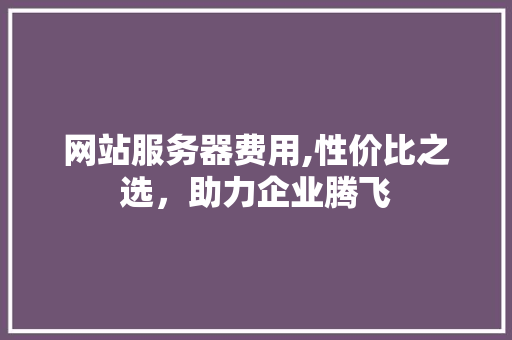 网站服务器费用,性价比之选，助力企业腾飞