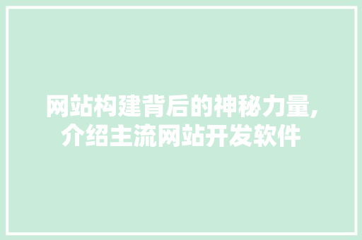 网站构建背后的神秘力量,介绍主流网站开发软件