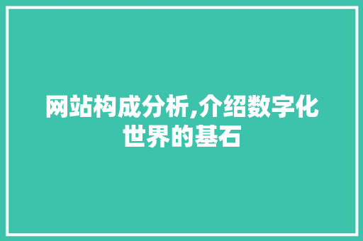 网站构成分析,介绍数字化世界的基石