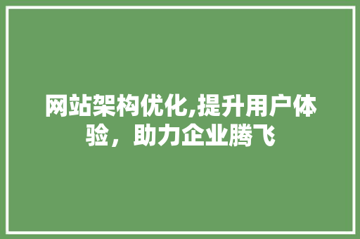 网站架构优化,提升用户体验，助力企业腾飞