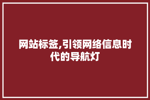 网站标签,引领网络信息时代的导航灯