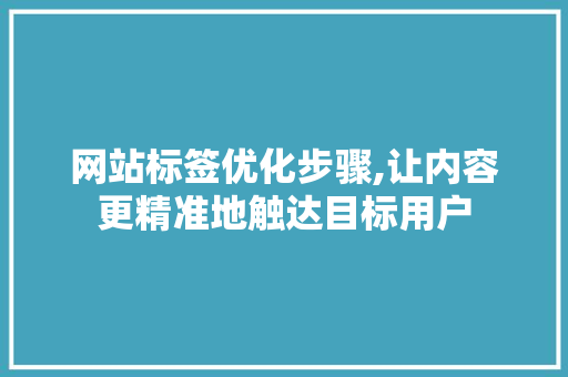 网站标签优化步骤,让内容更精准地触达目标用户