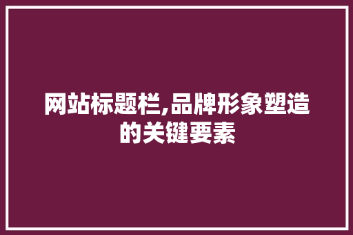 网站标题栏,品牌形象塑造的关键要素