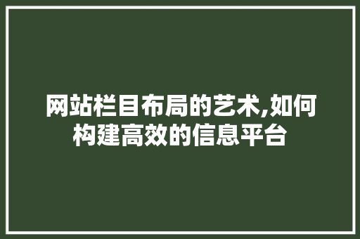 网站栏目布局的艺术,如何构建高效的信息平台