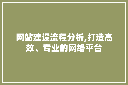 网站建设流程分析,打造高效、专业的网络平台 网站建设流程分析,打造高效、专业的网络平台 网站建设公司