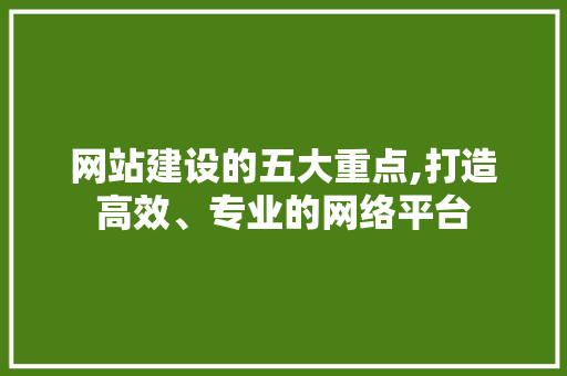 网站建设的五大重点,打造高效、专业的网络平台 网站建设的五大重点,打造高效、专业的网络平台 SEO关键词