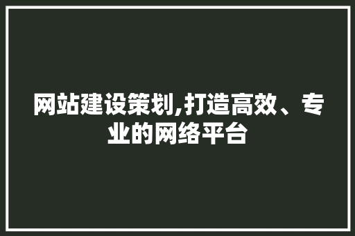 网站建设策划,打造高效、专业的网络平台