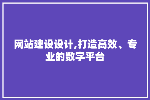 网站建设设计,打造高效、专业的数字平台