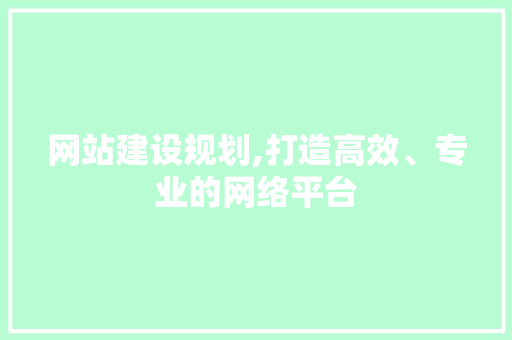 网站建设规划,打造高效、专业的网络平台