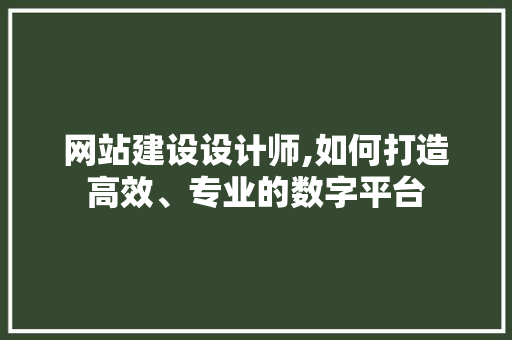 网站建设设计师,如何打造高效、专业的数字平台