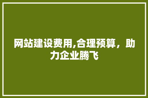 网站建设费用,合理预算，助力企业腾飞