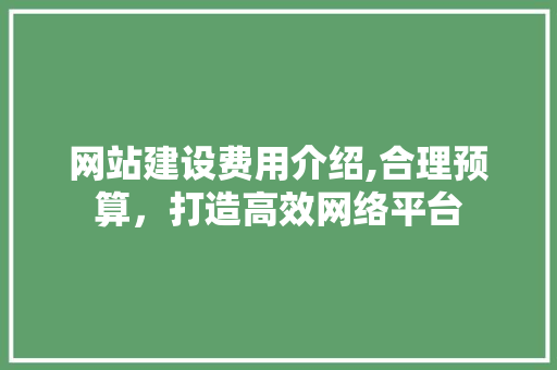 网站建设费用介绍,合理预算，打造高效网络平台