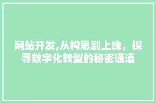 网站开发,从构思到上线，探寻数字化转型的秘密通道