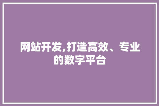 网站开发,打造高效、专业的数字平台