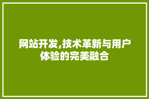 网站开发,技术革新与用户体验的完美融合