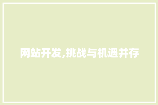 网站开发,挑战与机遇并存