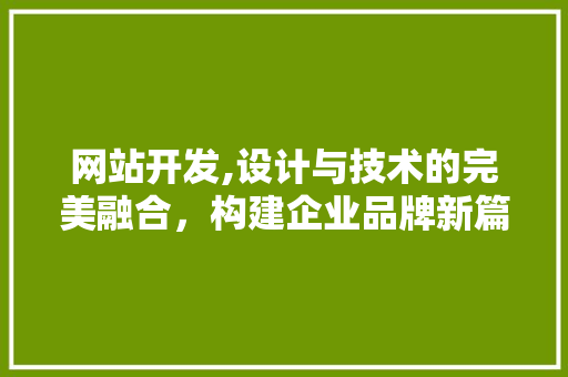 网站开发,设计与技术的完美融合，构建企业品牌新篇章