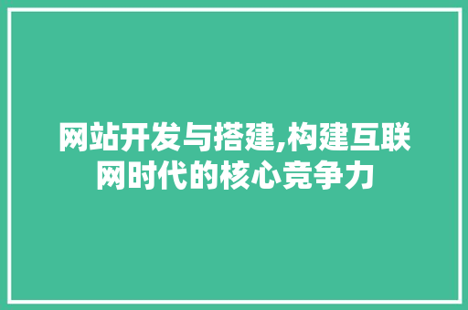 网站开发与搭建,构建互联网时代的核心竞争力