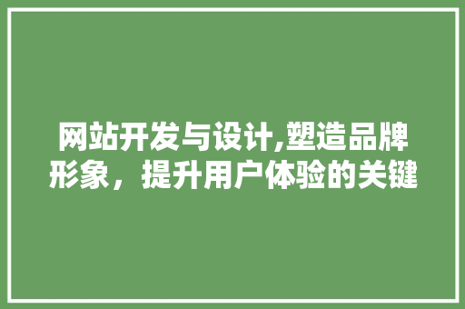网站开发与设计,塑造品牌形象，提升用户体验的关键