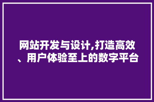 网站开发与设计,打造高效、用户体验至上的数字平台