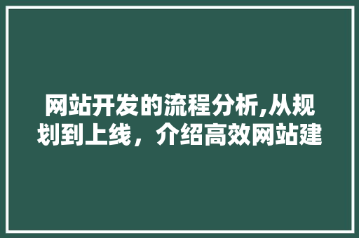 网站开发的流程分析,从规划到上线，介绍高效网站建设的秘密
