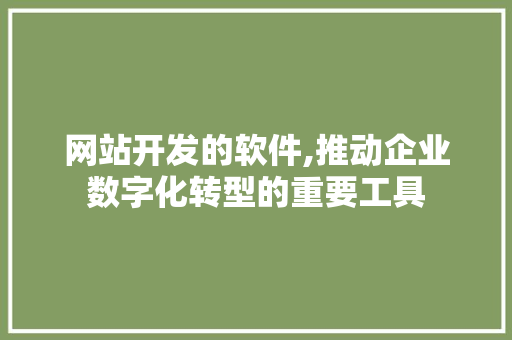 网站开发的软件,推动企业数字化转型的重要工具
