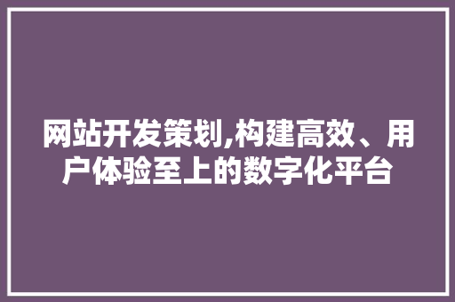 网站开发策划,构建高效、用户体验至上的数字化平台