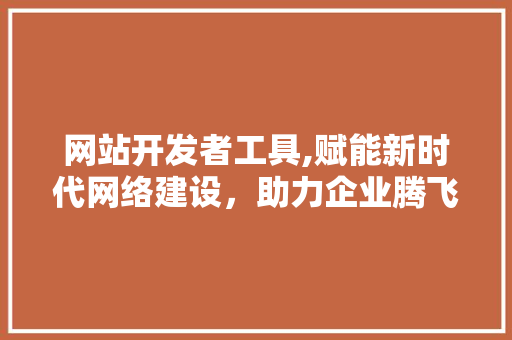 网站开发者工具,赋能新时代网络建设，助力企业腾飞