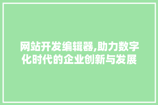 网站开发编辑器,助力数字化时代的企业创新与发展 网站开发编辑器,助力数字化时代的企业创新与发展 神马SEO