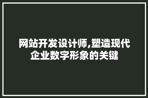 网站开发设计师,塑造现代企业数字形象的关键