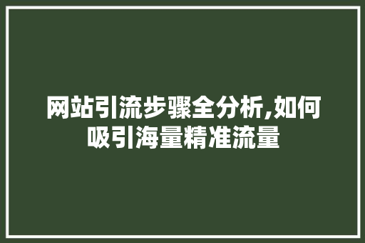 网站引流步骤全分析,如何吸引海量精准流量