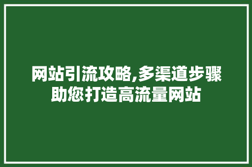 网站引流攻略,多渠道步骤助您打造高流量网站