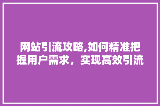 网站引流攻略,如何精准把握用户需求，实现高效引流 网站引流攻略,如何精准把握用户需求，实现高效引流 神马SEO