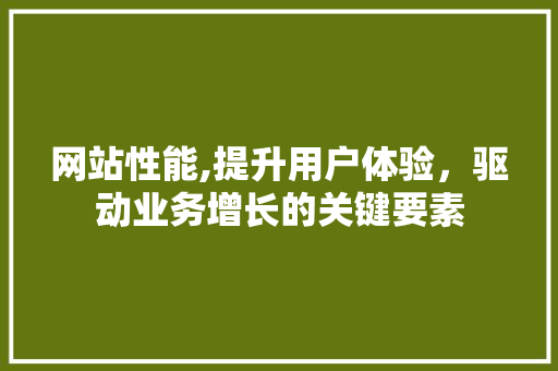 网站性能,提升用户体验，驱动业务增长的关键要素 网站性能,提升用户体验，驱动业务增长的关键要素 网站建设公司