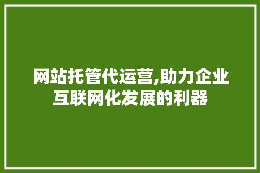网站托管代运营,助力企业互联网化发展的利器