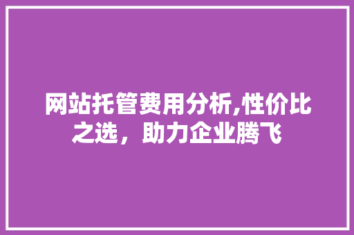 网站托管费用分析,性价比之选，助力企业腾飞