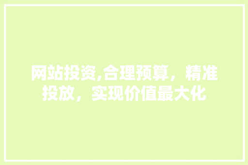 网站投资,合理预算，精准投放，实现价值最大化
