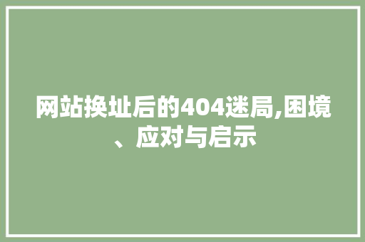 网站换址后的404迷局,困境、应对与启示