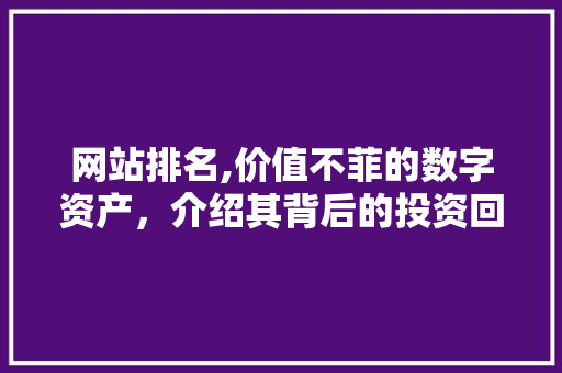 网站排名,价值不菲的数字资产，介绍其背后的投资回报